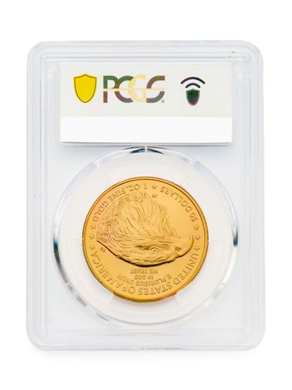 Picture of PCGS 2023 1oz Gold American Type 2 Eagle MS69